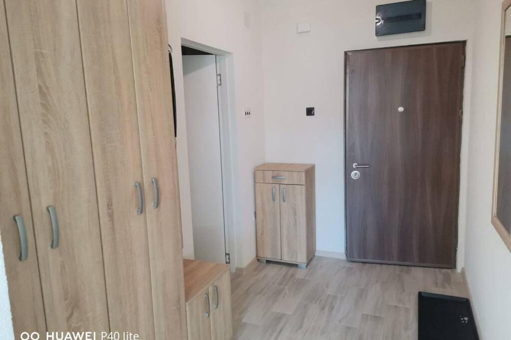 Apartment Rajic Golubac Zewnętrze zdjęcie