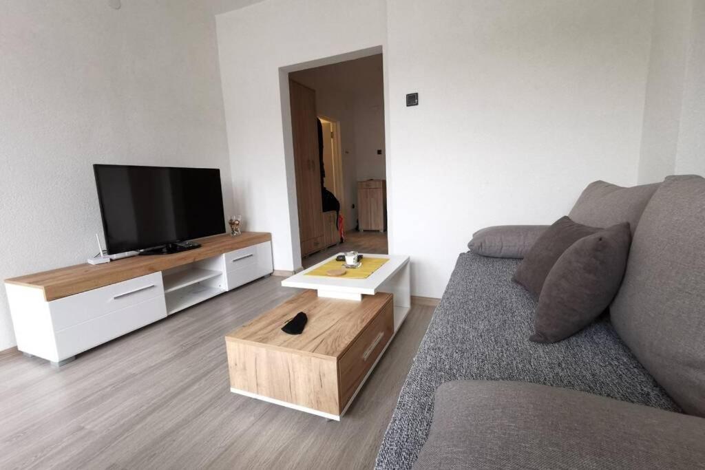 Apartment Rajic Golubac Zewnętrze zdjęcie