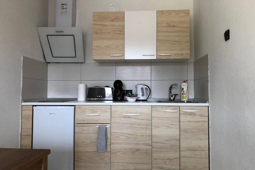 Apartment Rajic Golubac Zewnętrze zdjęcie