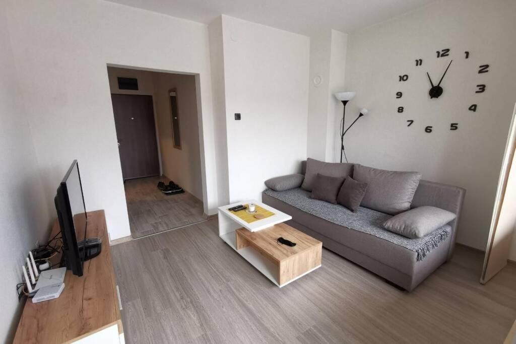 Apartment Rajic Golubac Zewnętrze zdjęcie