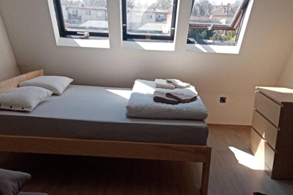 Apartment Rajic Golubac Zewnętrze zdjęcie