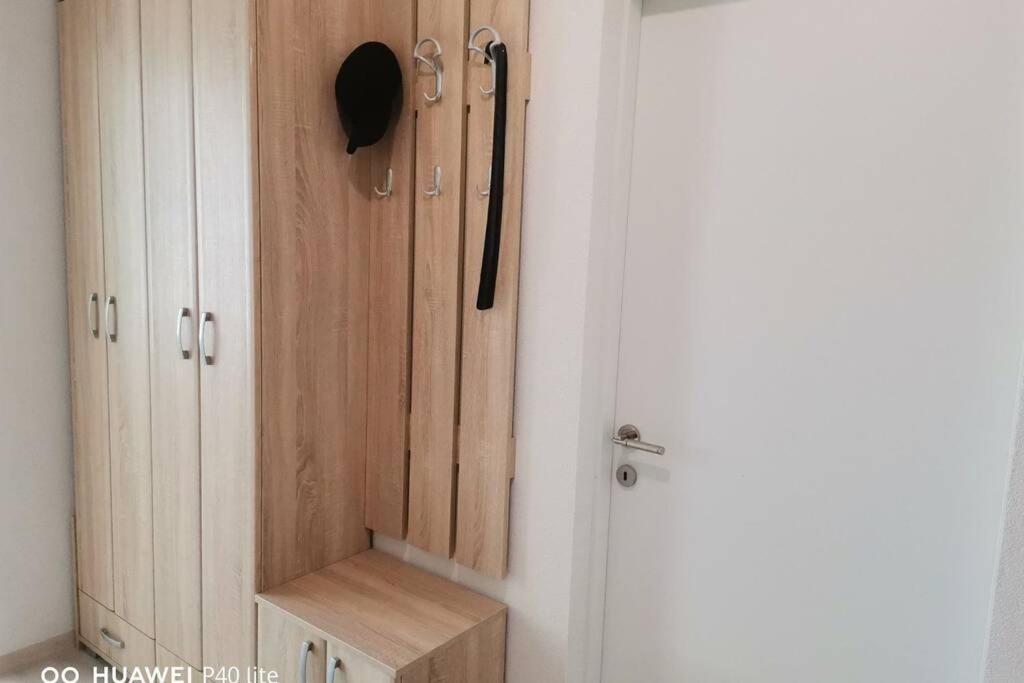 Apartment Rajic Golubac Zewnętrze zdjęcie