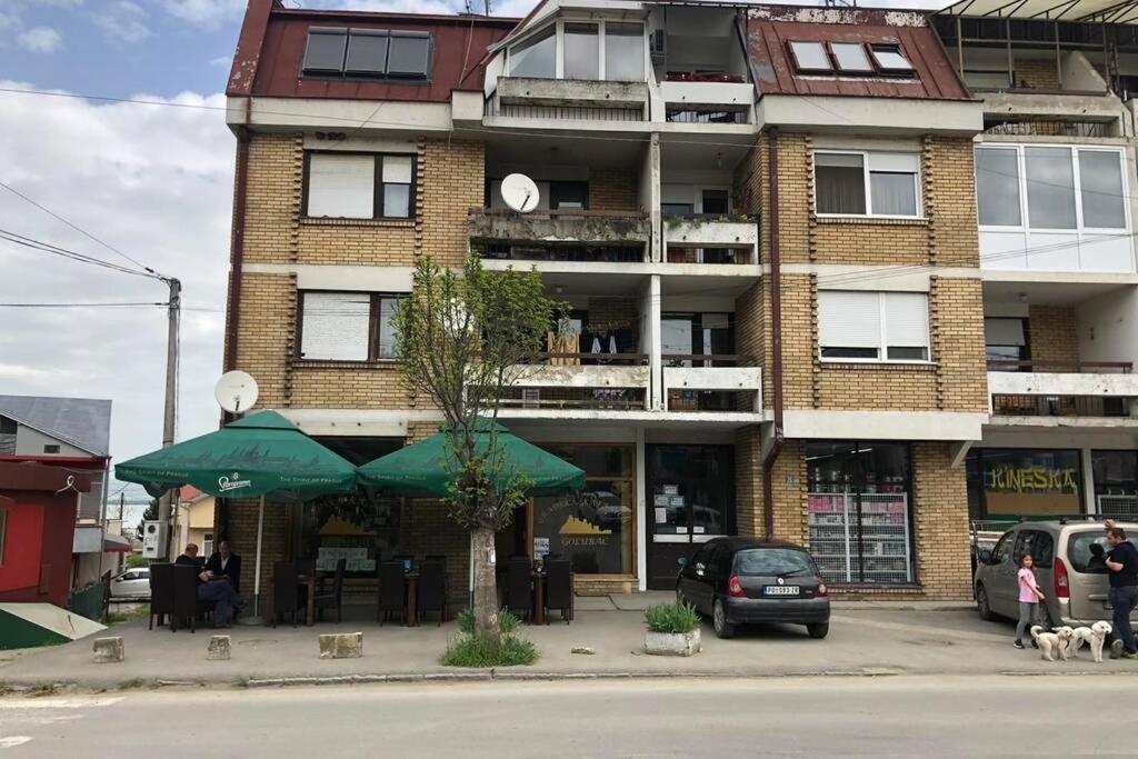 Apartment Rajic Golubac Zewnętrze zdjęcie