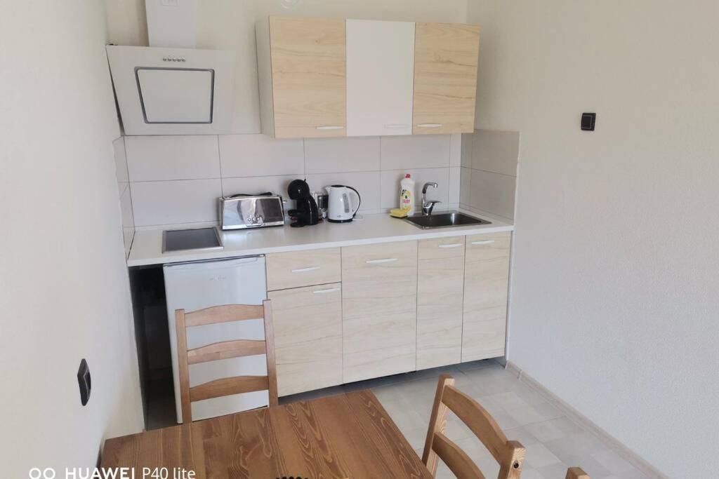 Apartment Rajic Golubac Zewnętrze zdjęcie